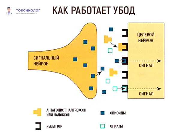 Медицинское оборудование для эффективного выполнения УБОД